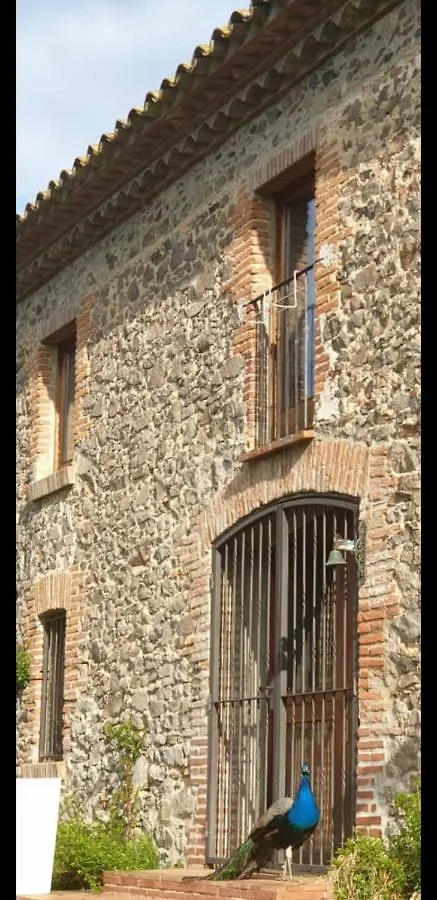 Villa Del Remei Vidreres