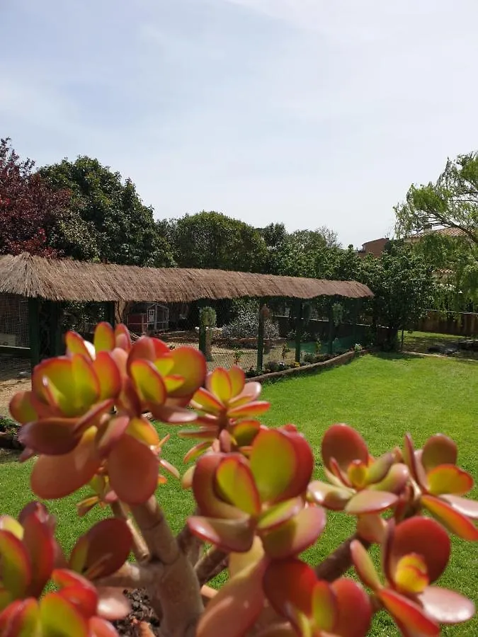 Holiday home Villa Del Remei Vidreres